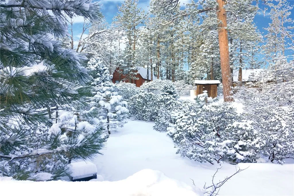800 Eureka Drive, Big Bear Lake, California 92315 home-pic-37