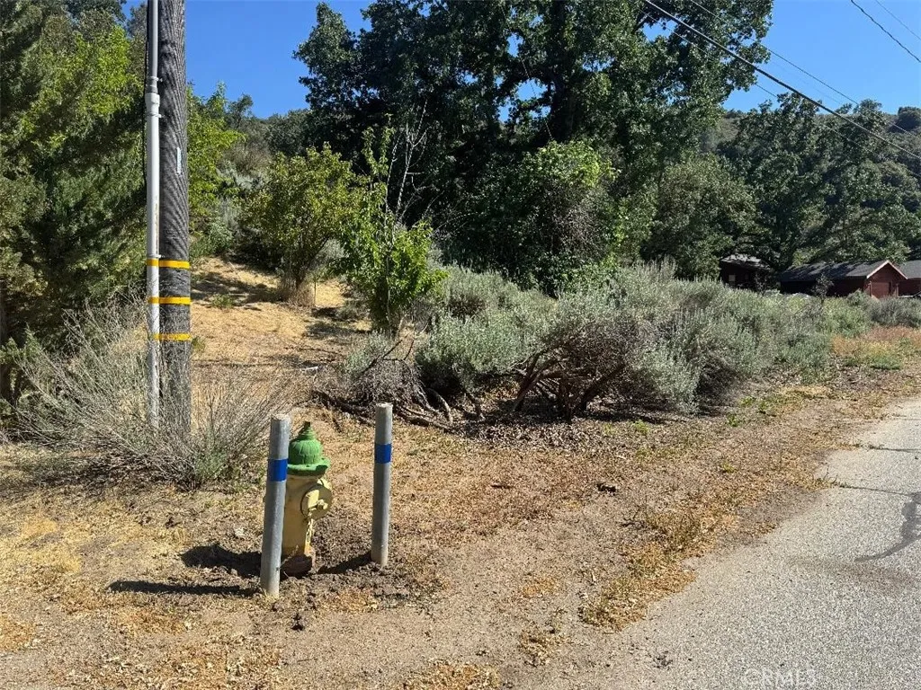 Fire Hydrant at Property Line