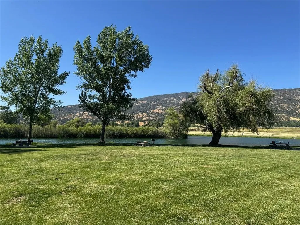 Grassy Area