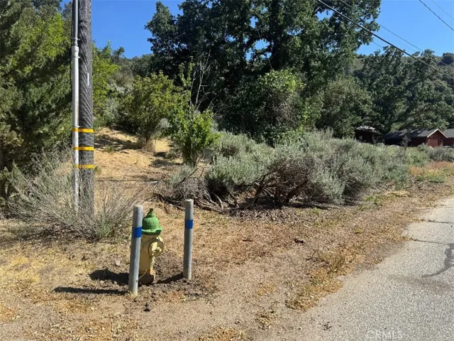 Fire Hydrant at Property Line