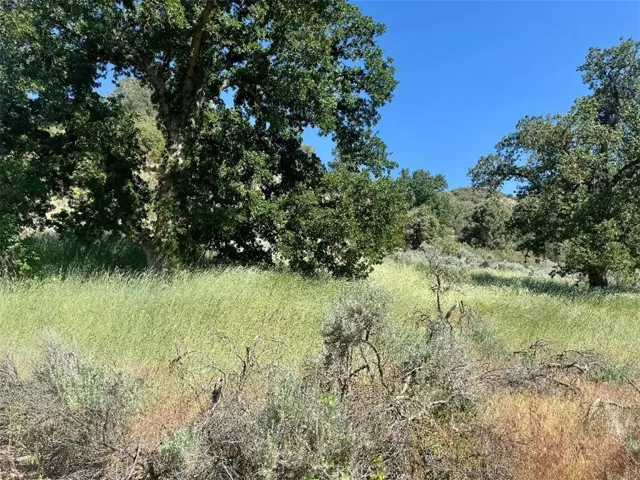 2.19 Acres
