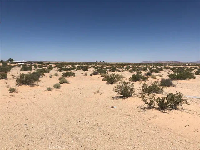 View looking NW from the SW corner.