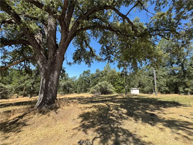 3122 Triangle Park Road, Mariposa, California 95338