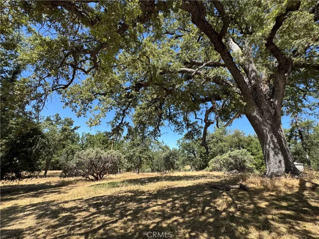3122 Triangle Park Road, Mariposa, California 95338