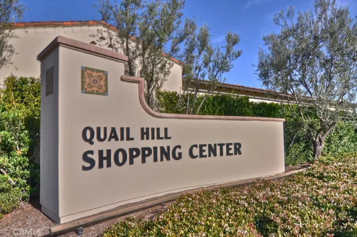 88 Borghese, Irvine, California 92618