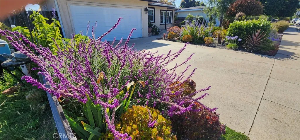 532 Arroyo Avenue, Arroyo Grande, California 93420