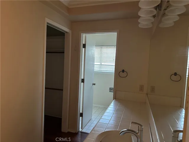 Master Suite Bathroom