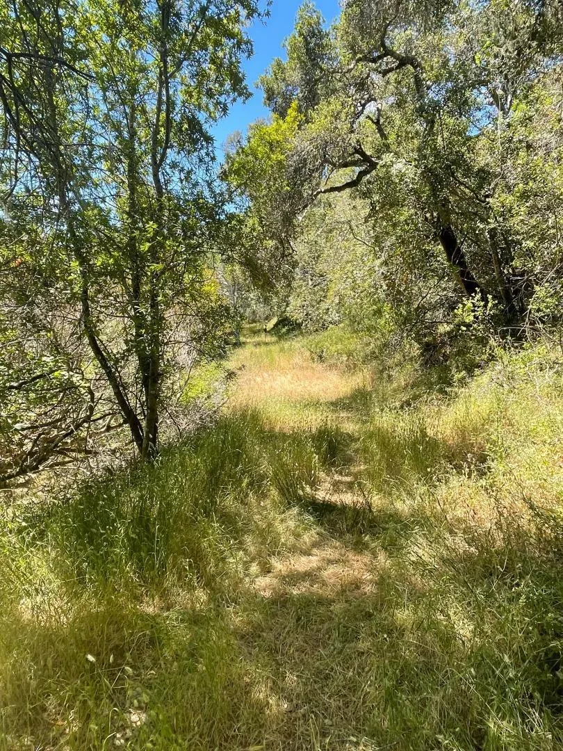 0 Crystal Springs Rd