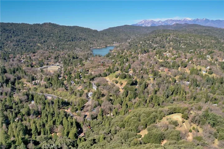 407 Dart Canyon Road, Crestline, California 92325