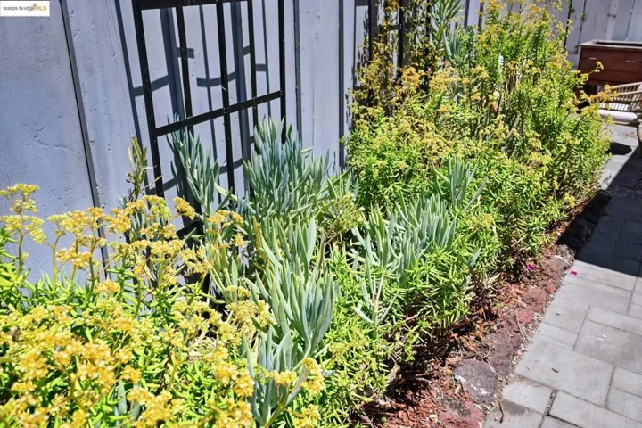 3316 Coolidge Ave, Oakland, California 94602