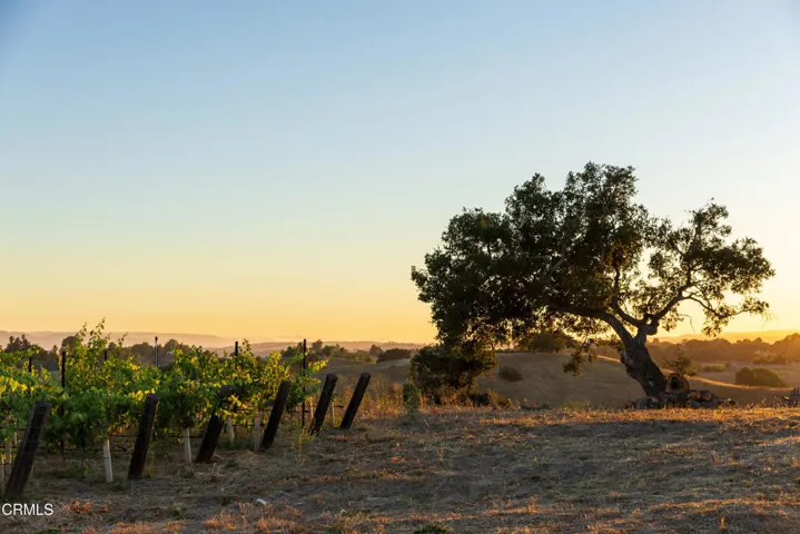 3001 Long Valley Web-40