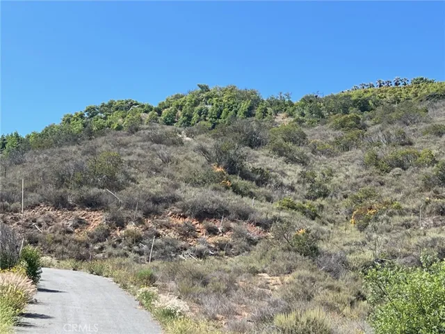 TAKEN  FROM PAMPAS  ROADFIRST  NATURAL KNOLL BEST  LOCATION  FOR FUTURE HOMESITE.