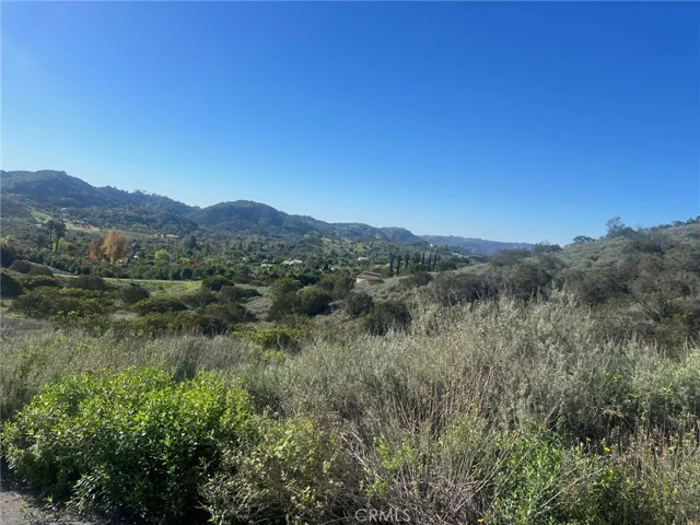 SOUTHEASTERLY VIEW  FROM A  FUTURE PAD  SITE.