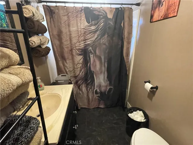 Main house bathroom