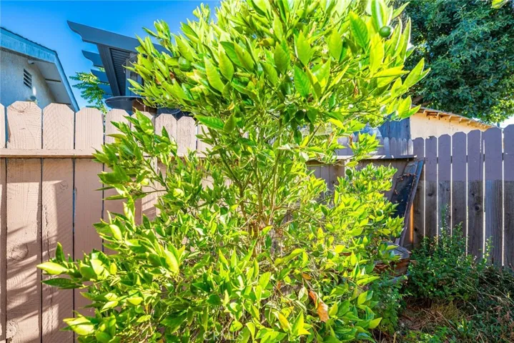 8219 Crockett Boulevard, Los Angeles, California 90001