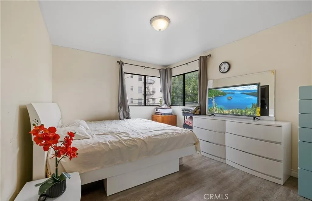 435 S Virgil Avenue 225, Los Angeles, California 90020 home-pic-10