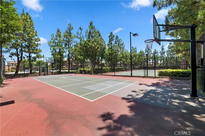 Basketball Court
