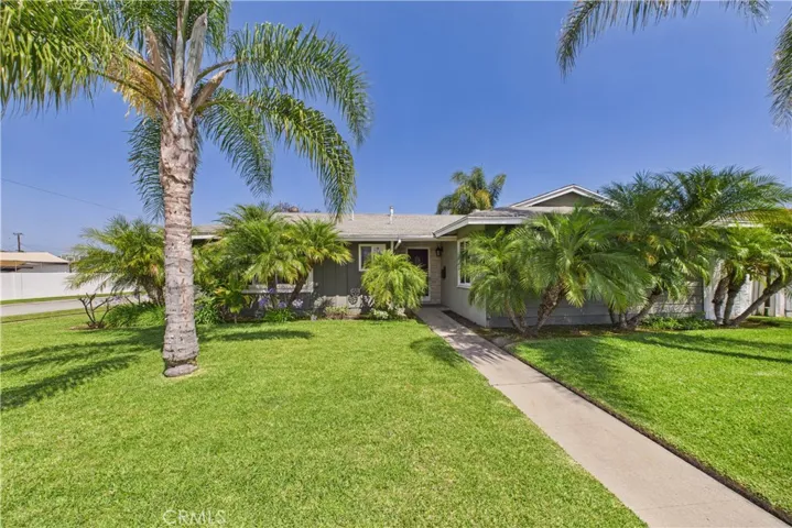 Tropical front yard/entrance