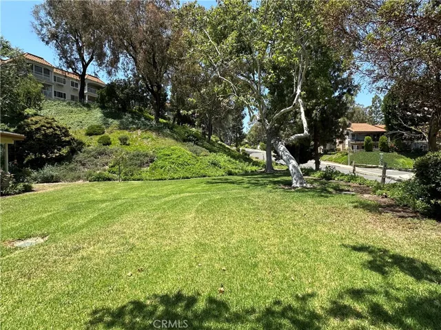 3525 Bahia Blanca W B, Laguna Woods, California 92637