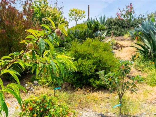 1750 La Luna Court, San Luis Obispo, California 93405