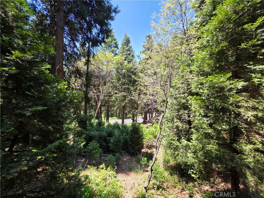 606 Crest Estates Drive, Lake Arrowhead, California 92352 home-pic-31
