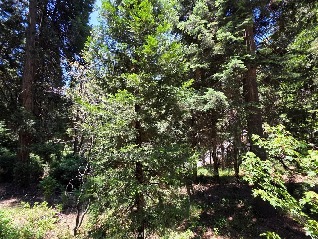 606 Crest Estates Drive, Lake Arrowhead, California 92352 home-pic-30