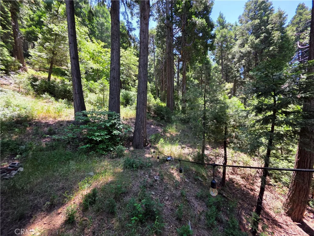 606 Crest Estates Drive, Lake Arrowhead, California 92352 home-pic-32
