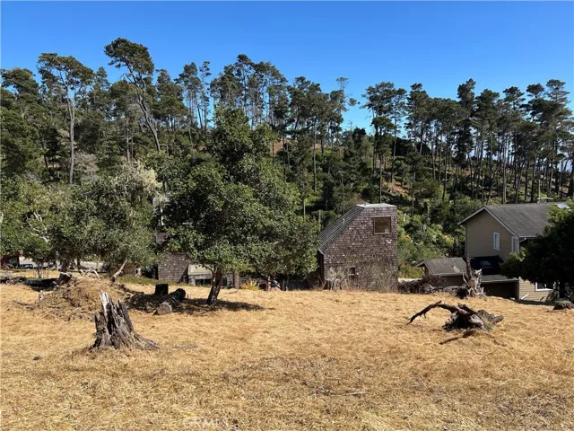 Strawberry Canyon Views