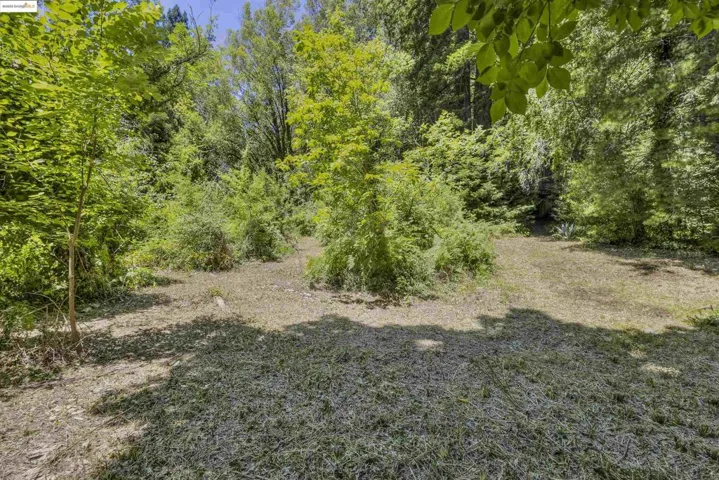 17864 Neeley Rd, Guerneville, California 95446