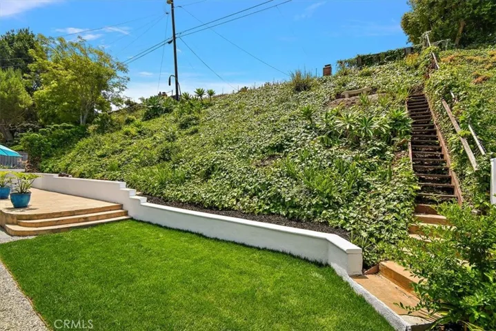 Backyard_8