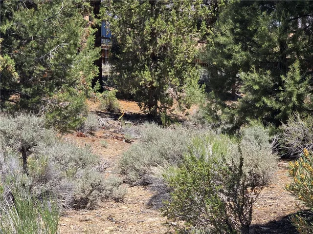 0 Ponderosa Ranch Road, Big Bear City, California 92314