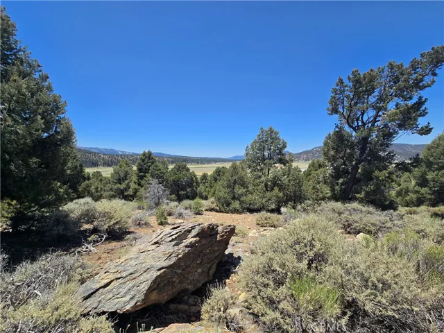 0 Ponderosa Ranch Road, Big Bear City, California 92314