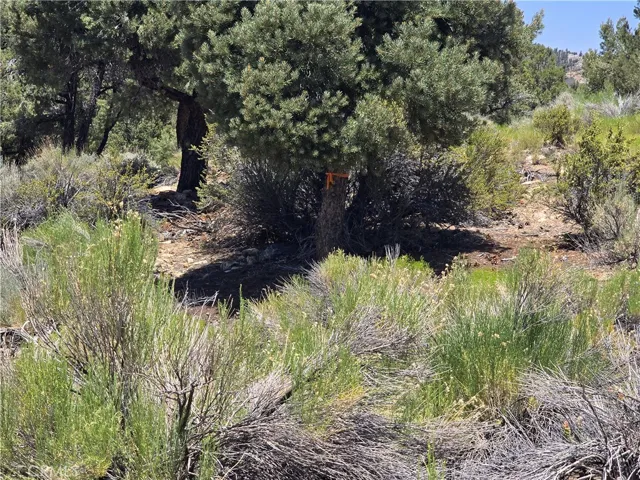 0 Ponderosa Ranch Road, Big Bear City, California 92314