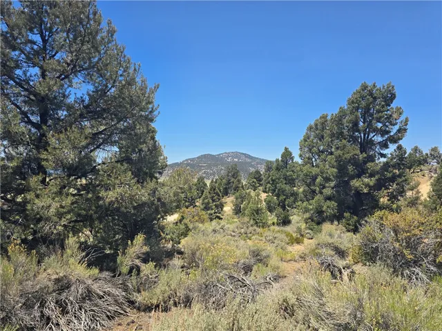 0 Ponderosa Ranch Road, Big Bear City, California 92314