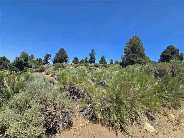 0 Ponderosa Ranch Road, Big Bear City, California 92314