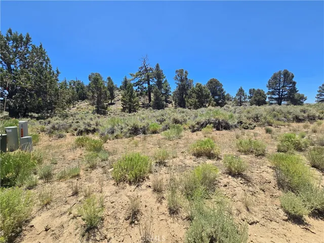 0 Ponderosa Ranch Road, Big Bear City, California 92314