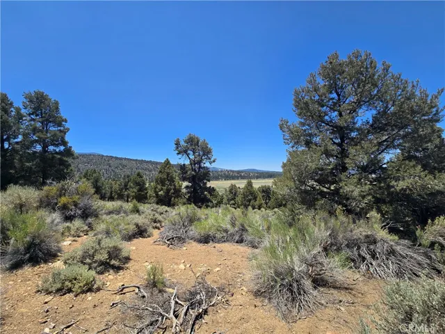 0 Ponderosa Ranch Road, Big Bear City, California 92314