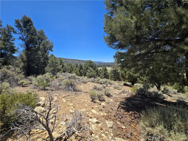 0 Ponderosa Ranch Road, Big Bear City, California 92314