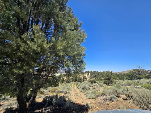 Road through property