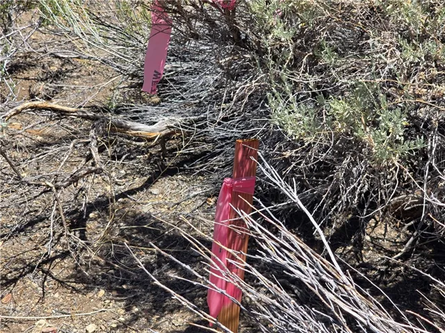 property marker