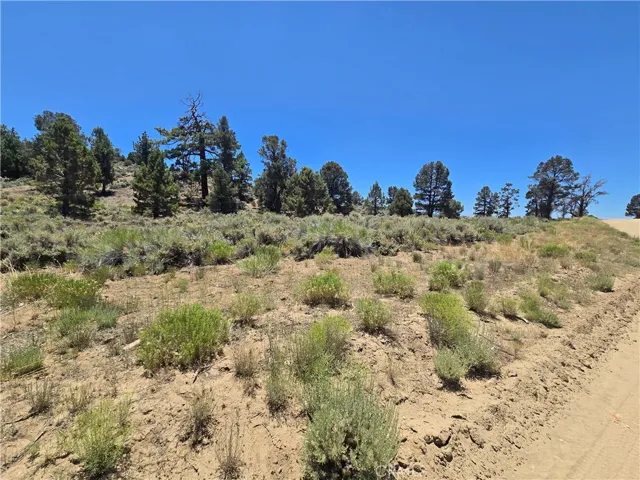 from Ponderosa Ranch Road
