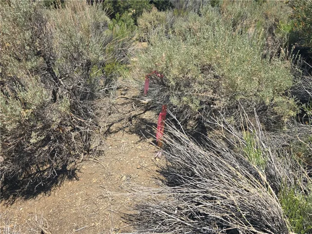 property marker