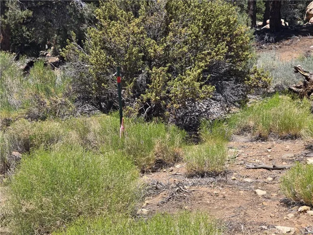 0 Ponderosa Ranch Road, Big Bear City, California 92314