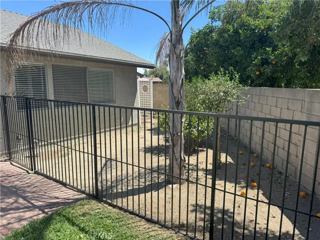 Fenced Dog run/garden