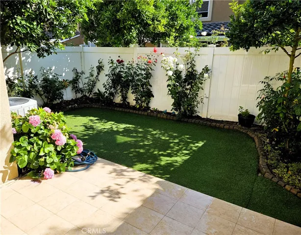 Sunny Backyard with a Patio, Lime Tree, and Beautiful Roses