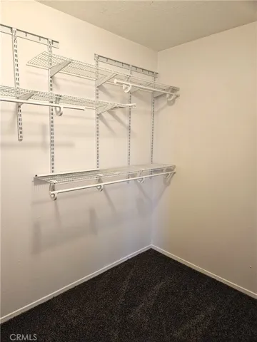 Walk-In Closet in Main Bedroom
