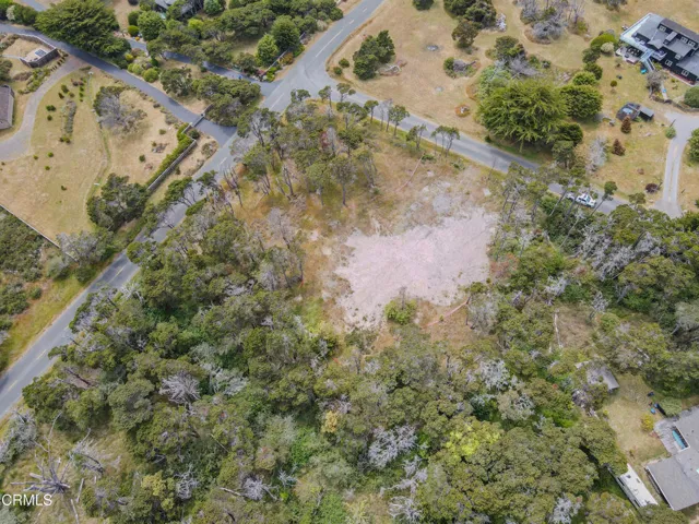 dji_fly_20250625_150612_324_175096541212