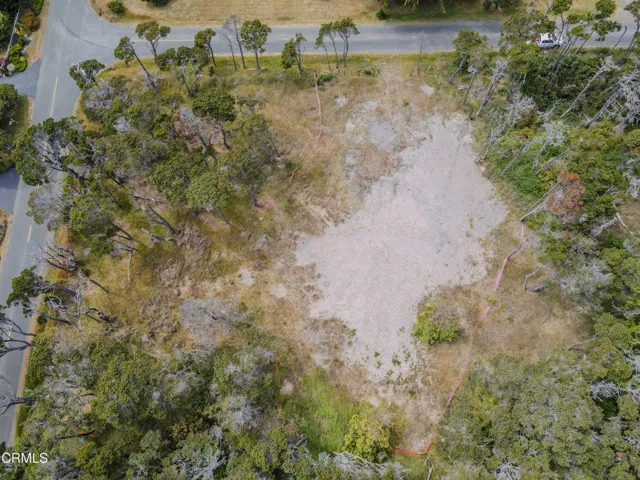 dji_fly_20250625_150636_326_175096540817