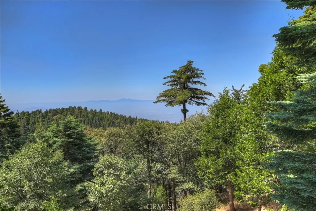 1040 Mile High Road, Twin Peaks, California 92391 home-pic-1