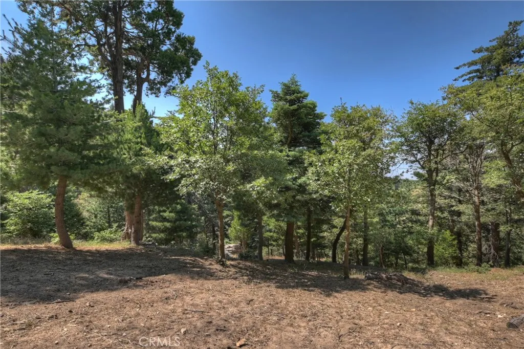 1040 Mile High Road, Twin Peaks, California 92391 home-pic-39